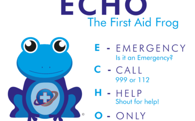 Introducing ECHO, the First Aid Frog…